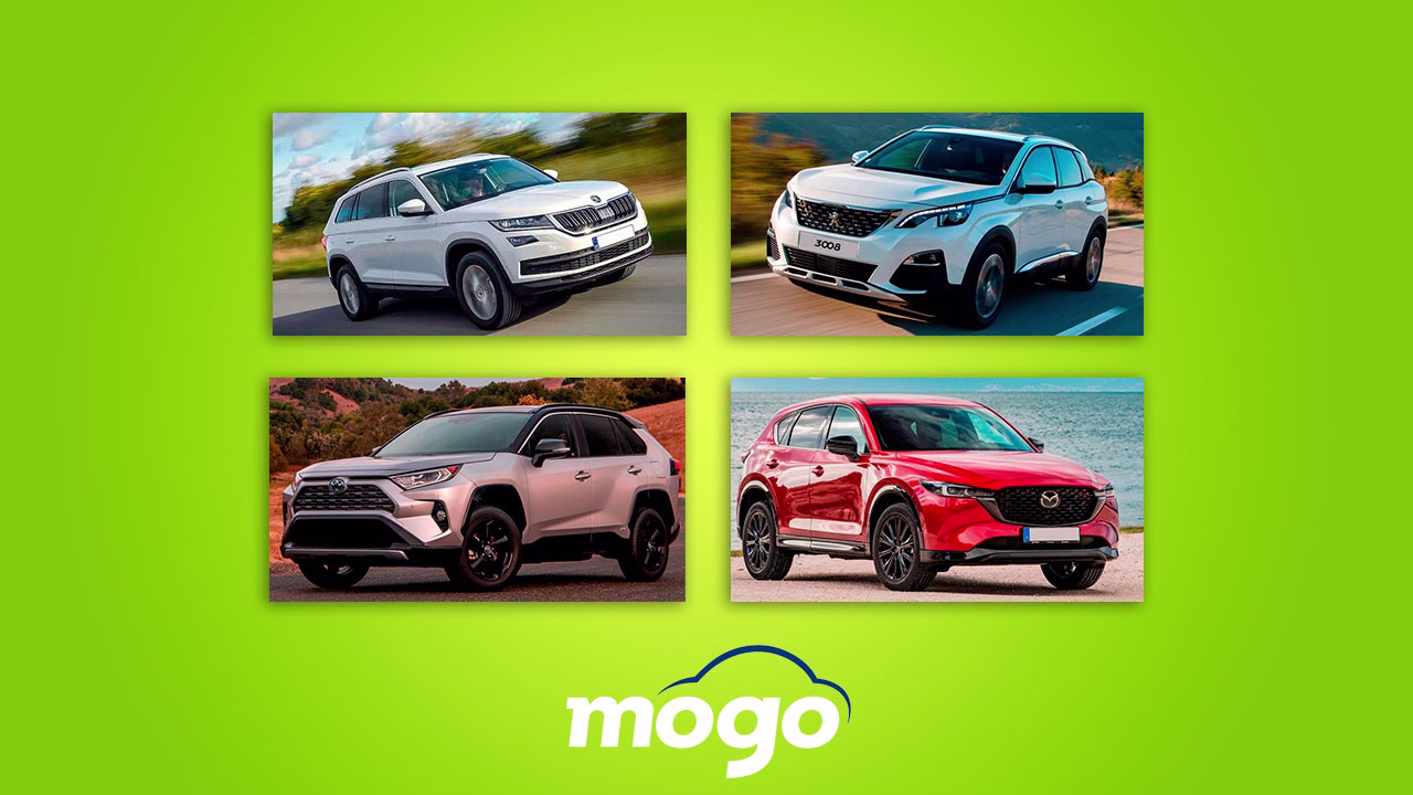 10 parimat linnamaasturit, mida Eestis osta tasub